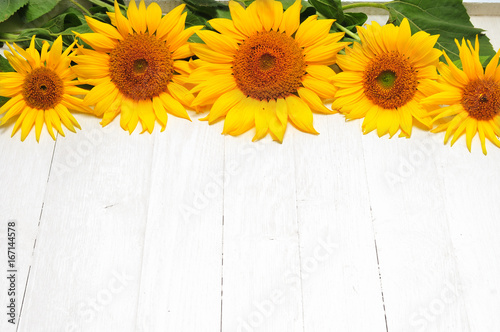Fototapeta Naklejka Na Ścianę i Meble -  Sunflowers on a white background