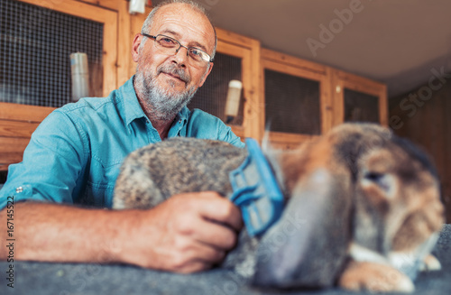 Valokuva Rabbit breeder. Pets and animals concept