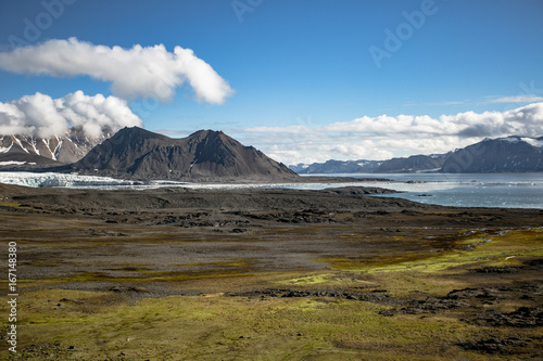 Lato na Spitsbergenie © blackspeed