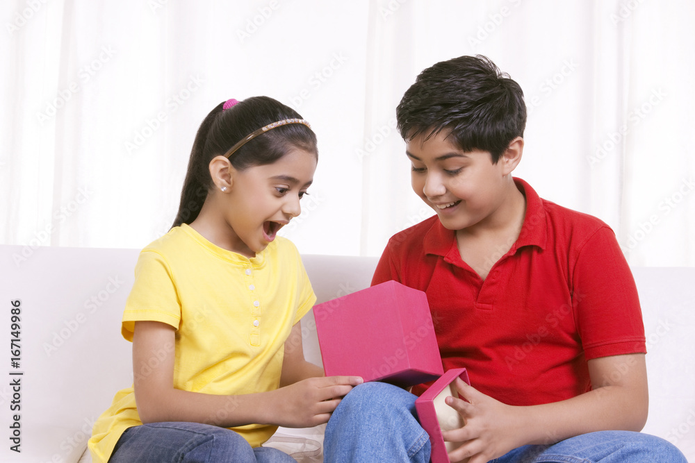 Brother and sister surprised by contents of gift box Brother and sister surprised by contents of gift box