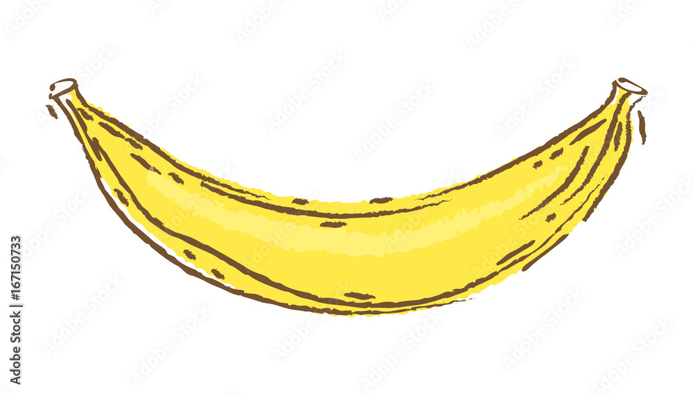 Banana vector illustration, sketch and doodle style, hand draw bananas