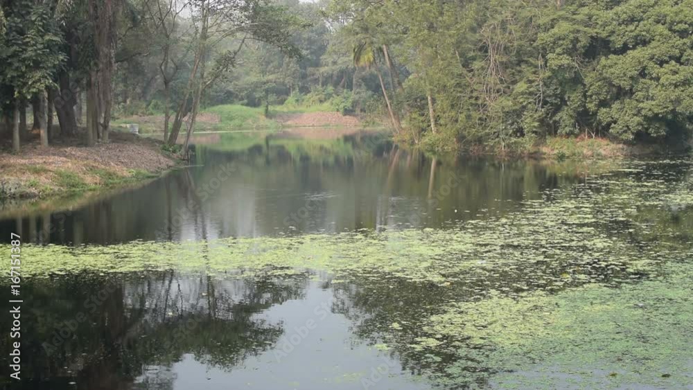 Beautiful view of a pond or lake with mild breeze flowing on the water surface Beautiful view of a pond or lake with mild breeze flowing on the water surface