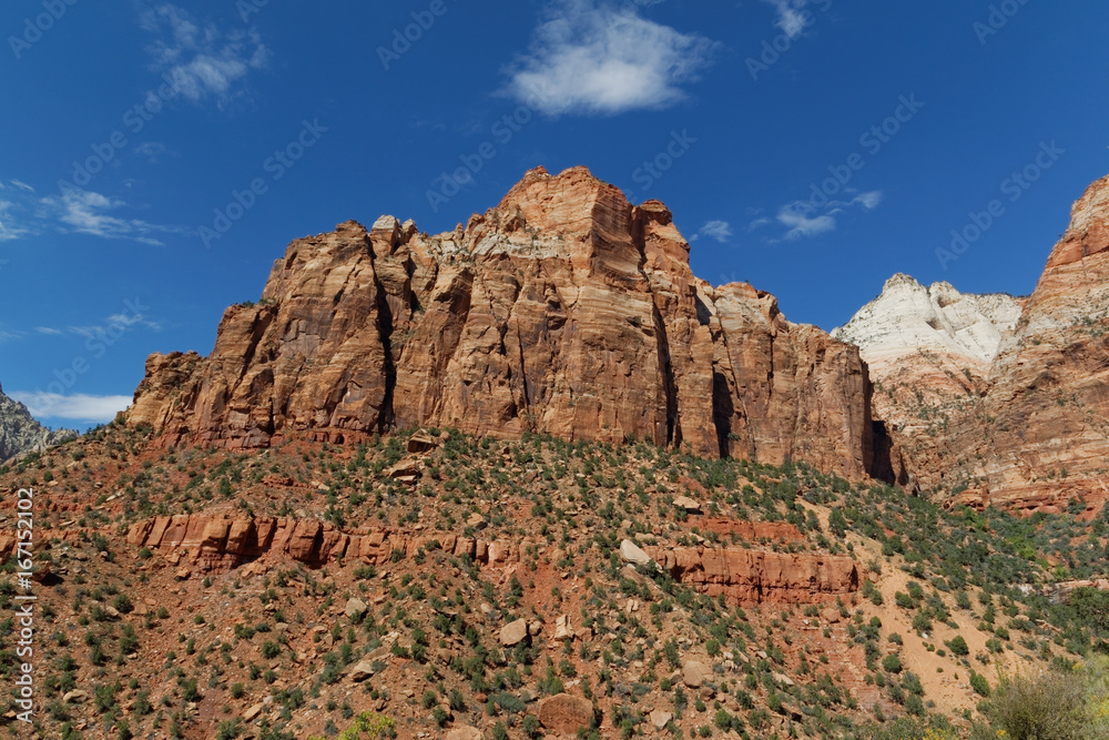 Fototapeta premium Zion National Park