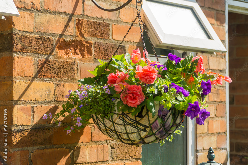 Naklejka premium Flowers and plants in a garden in the summertime