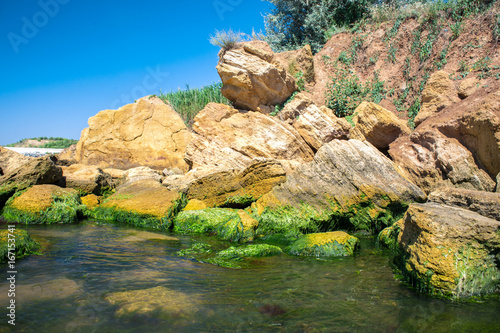 Algae on the sea stones. Green algae covers the sea surface. photo