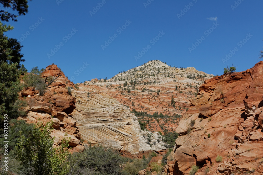 Fototapeta premium Zion National Park