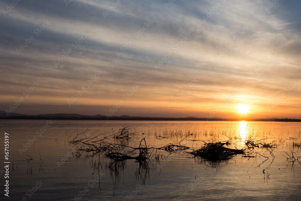Lake at sunset, with trees and branches coming out of water, and a beautiful sky with warm, colorful tones. Lake at sunset, with trees and branches coming out of water, and a beautiful sky with warm, colorful tones.