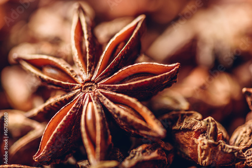 Backdrop of Star Anise Fruits and Seeds.