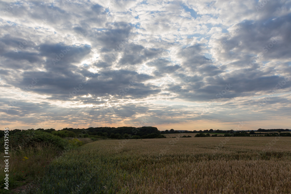 Cloudy sky over a cut hay field in Leicester-shire
