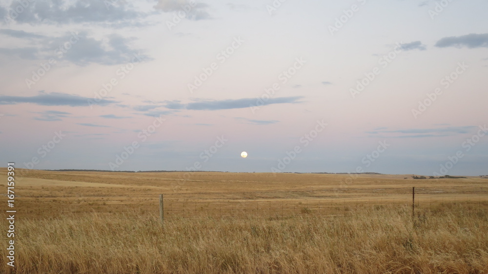 Fototapeta premium Sunset