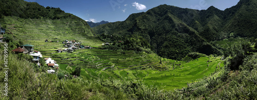 Rice field terrace