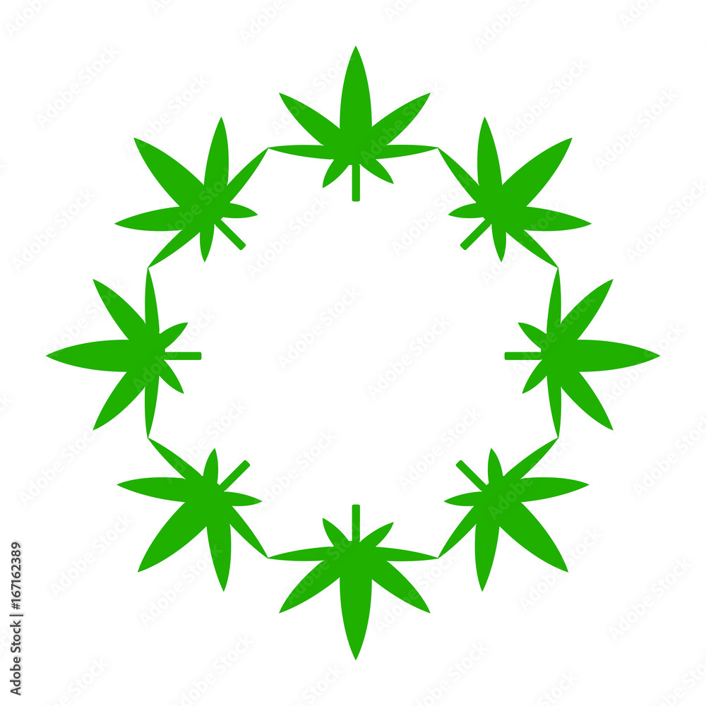 Marijuana leaves in a circle