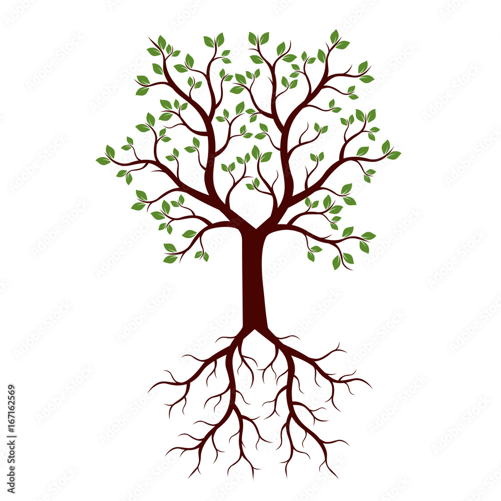 Fototapeta premium Summer Tree with Roots. Vector Illustration.