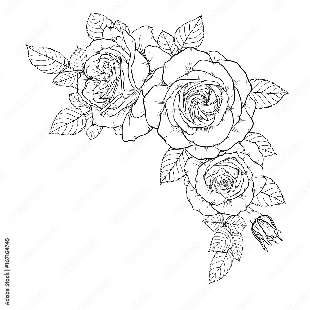 Naklejka premium piękny czarny i biały bukiet róży i liści. Kwiatowy układ na białym tle. Zaprojektuj kartkę z życzeniami i zaproszenie na ślub, urodziny, Walentynki, dzień matki, wakacje