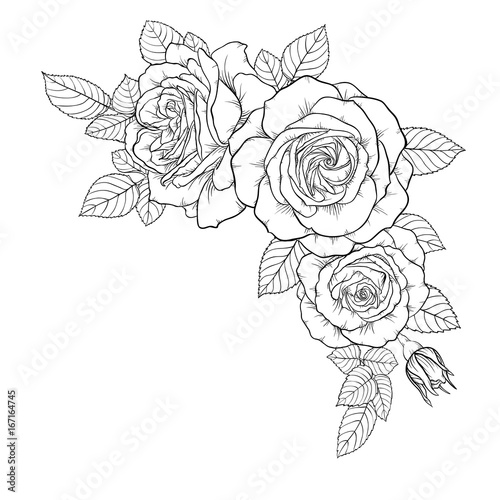 Fototapeta piękny bukiet czarno-białych róż i liści. Kwiatowy układ na białym tle. projekt kartkę z życzeniami i zaproszenie na ślub, urodziny, Walentynki s, dzień matki, wakacje