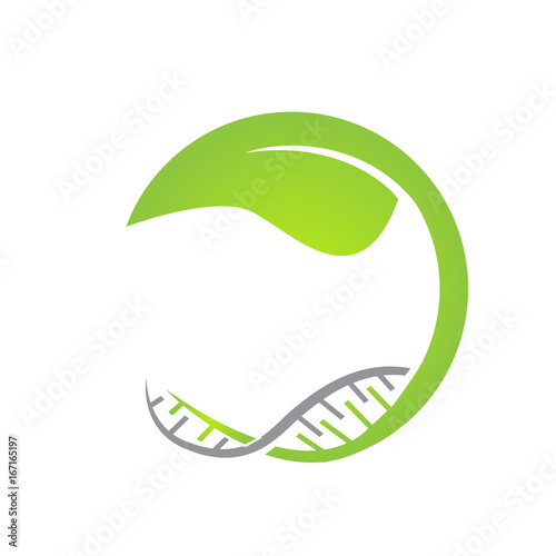dna leaf 