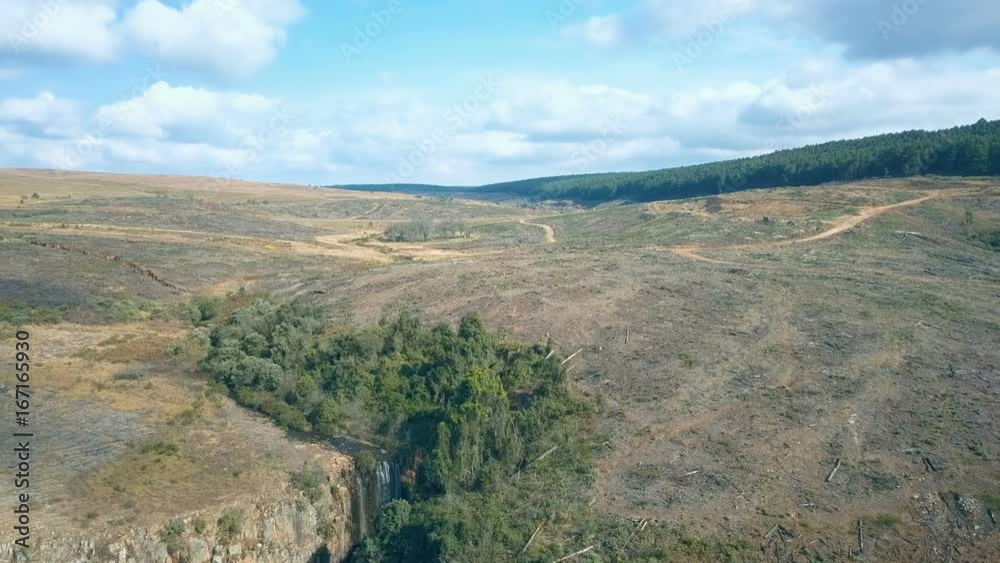Ascent over bare forestry region with small waterfall nestled in bushy patch Ascent over bare forestry region with small waterfall nestled in bushy patch