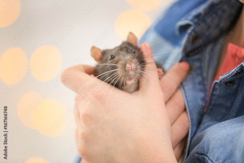 Young woman holding cute rat against defocused lights Young woman holding cute rat against defocused lights