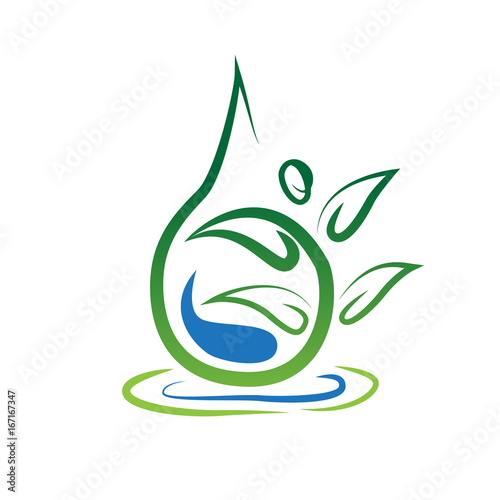 water leaf