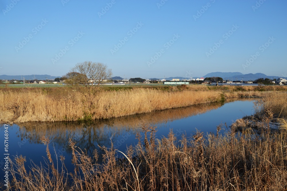 川が見える風景/福岡県朝倉市小石原川