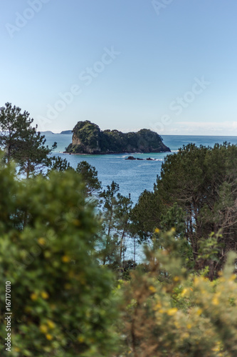 Wallpaper Mural Coromandel Peninsula, New Zealand. Torontodigital.ca