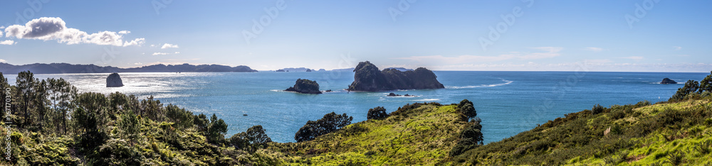 Coromandel Peninsula, New Zealand.