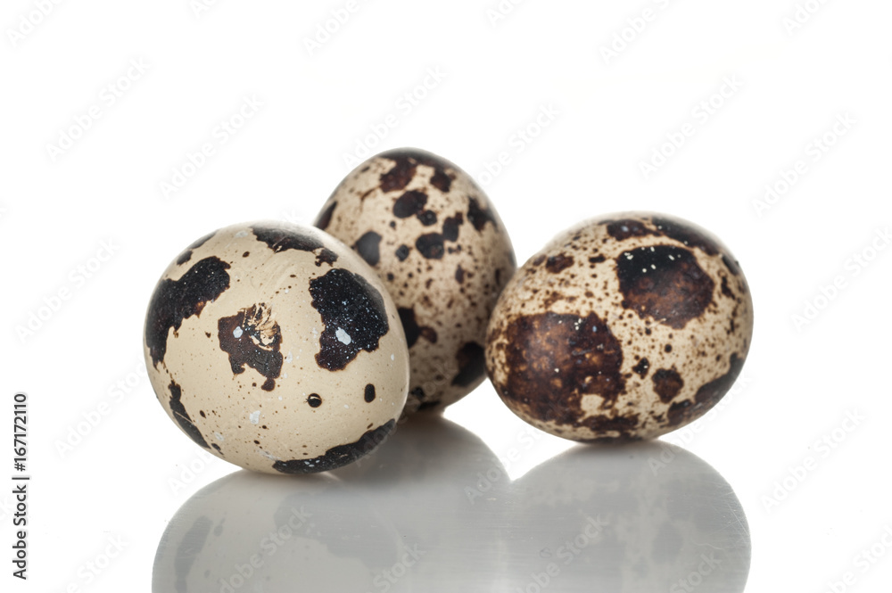 quail eggs isolated on white background quail eggs isolated on white background