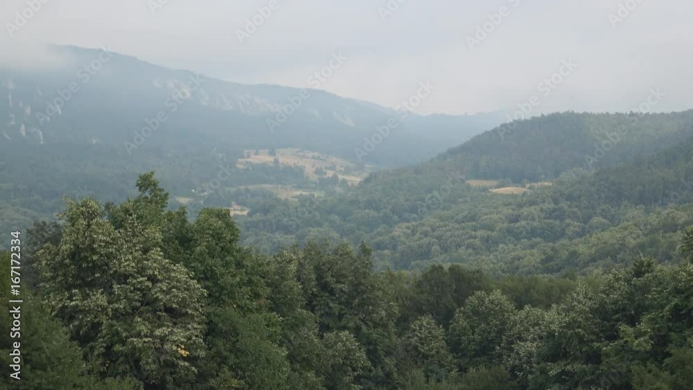 Landscape tree forest hill Landscape tree forest hill