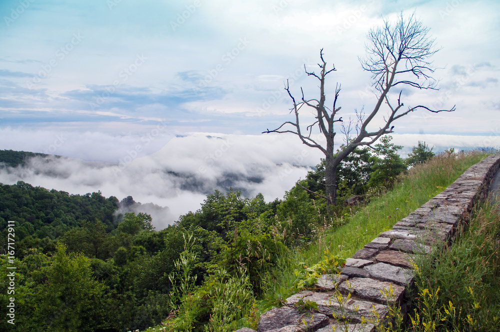 Fototapeta premium View From Shenandoah Parkway Clouds Dead Tree Centre