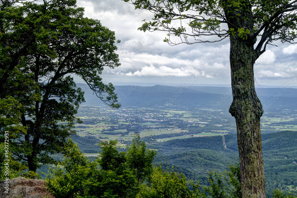 View from the Shenandoah Parkway Tree Right View from the Shenandoah Parkway Tree Right