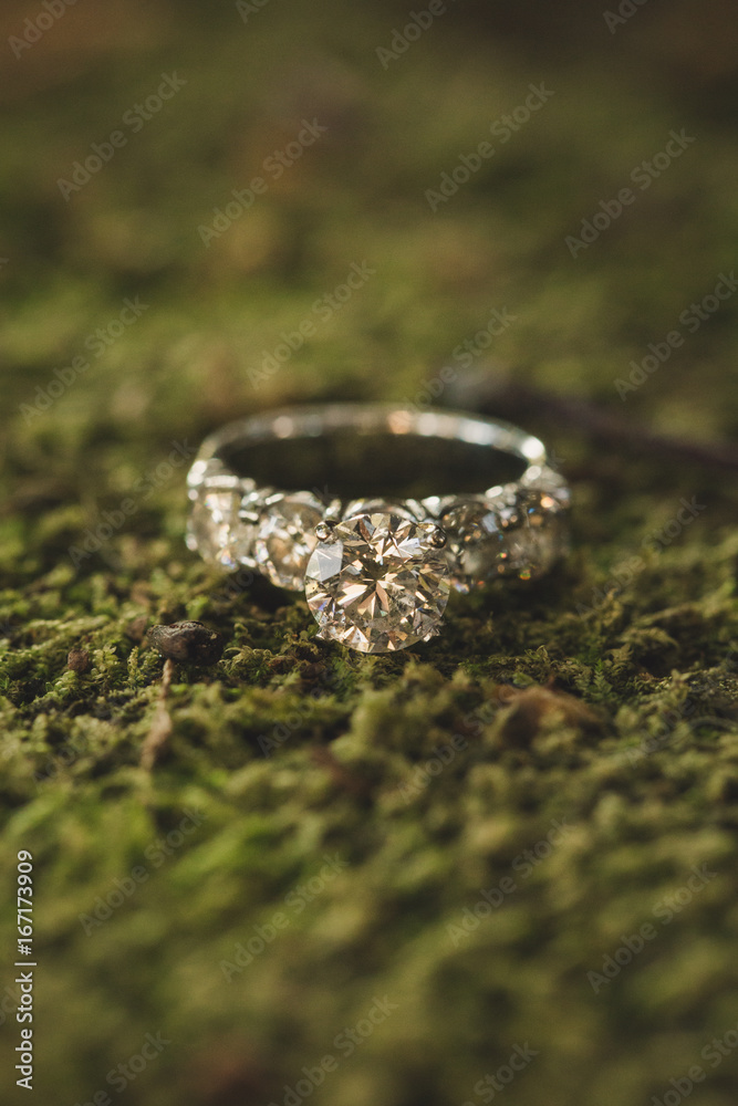 Mossy Engagement Mossy Engagement