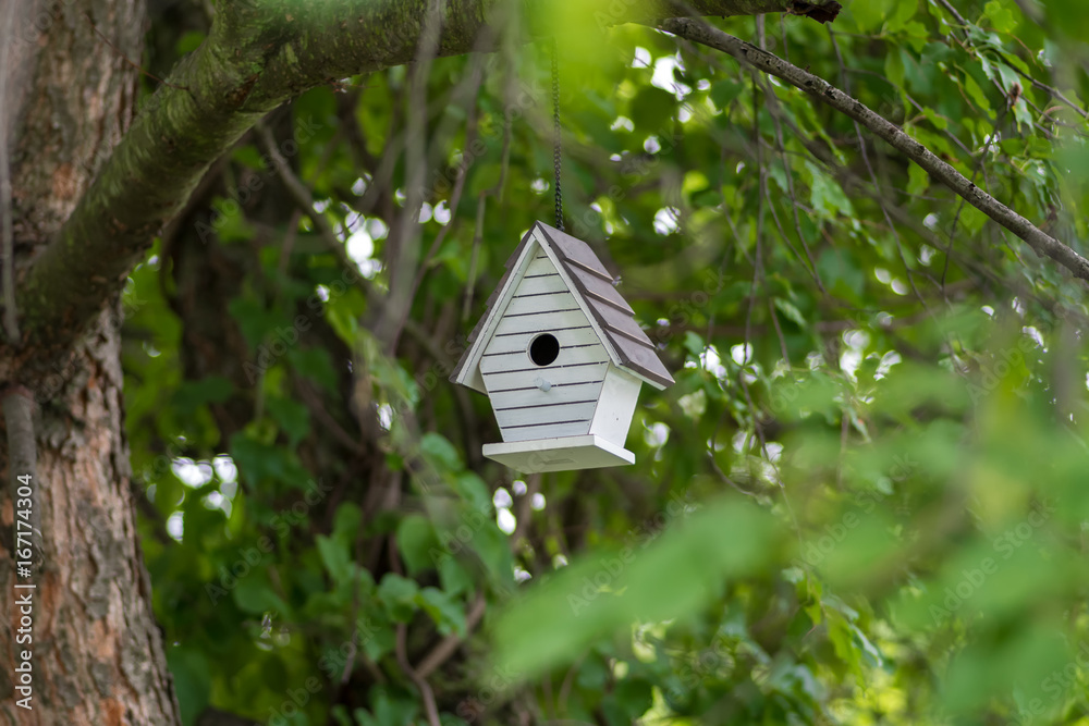 birdhouse hanging from tree branch