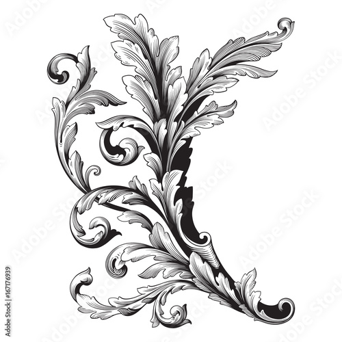 Ornament vector baroque