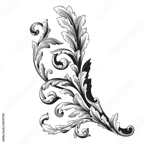 Ornament vector baroque