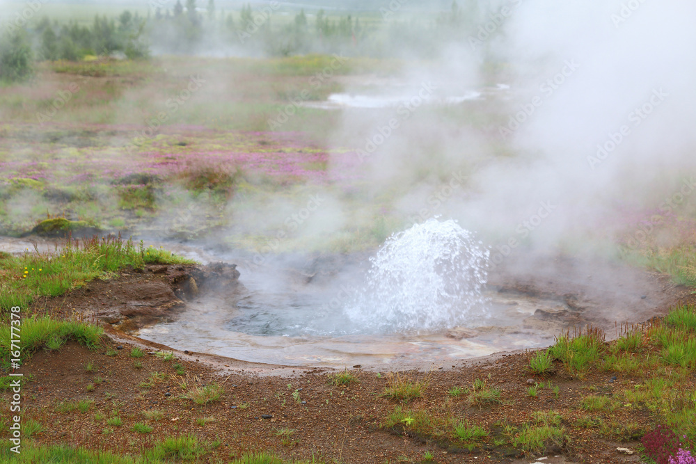 Geyser, Haukadalur, golden circle near Reykjavik Geyser, Haukadalur, golden circle near Reykjavik