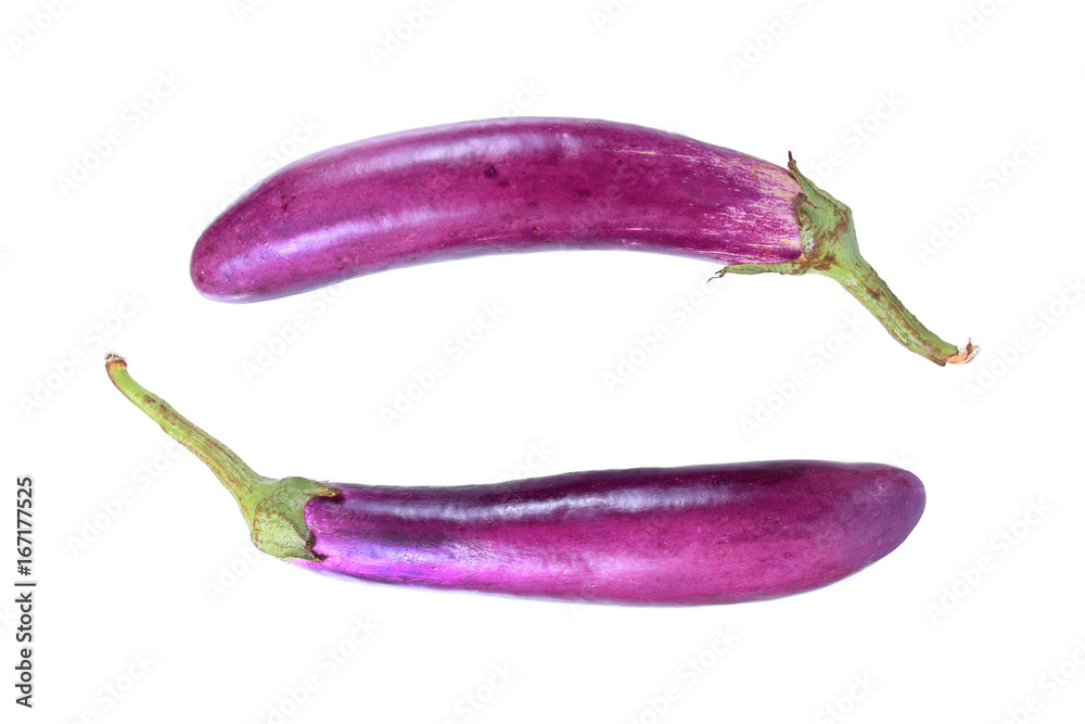long purple eggplant isolated on white long purple eggplant isolated on white