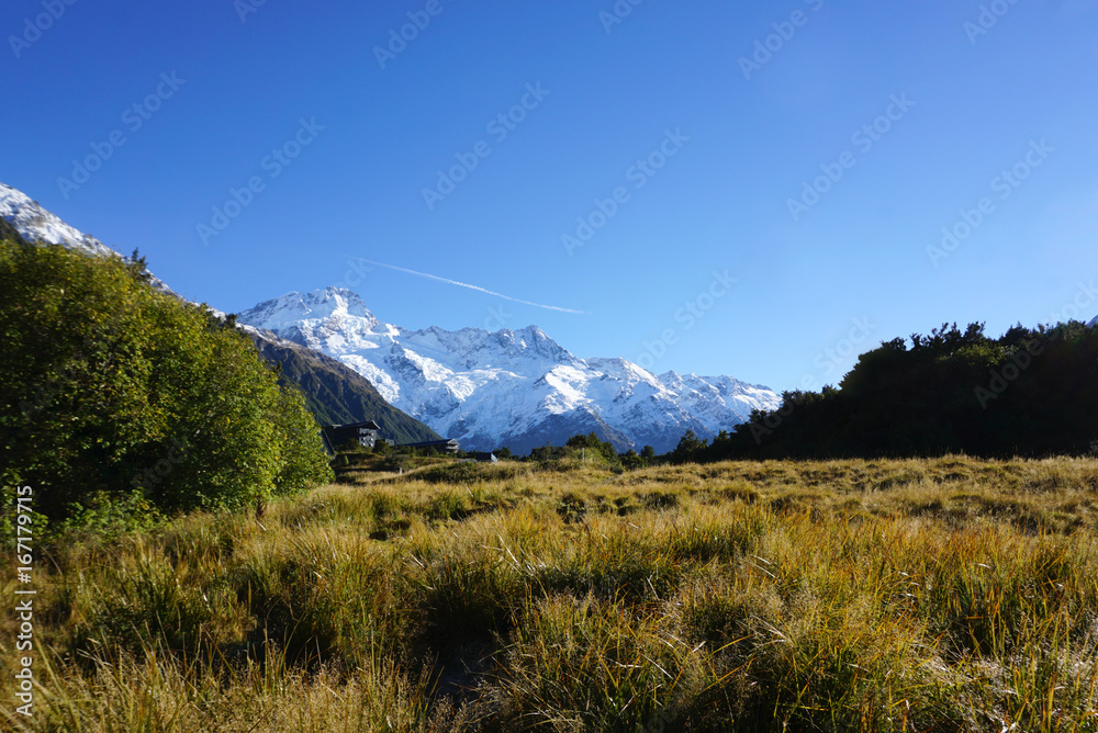 Fototapeta premium Beautiful landscape of the meadow along the road in New Zealand