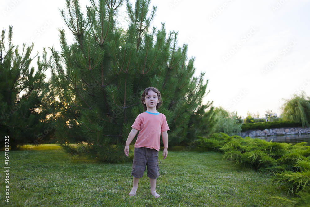 The boy is standing on the lawn.