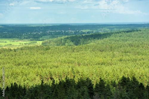 aerial view of summer forest in northwest of Russia
