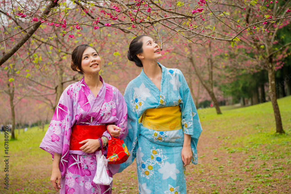 beautiful japanese female students wearing kimono beautiful japanese female students wearing kimono