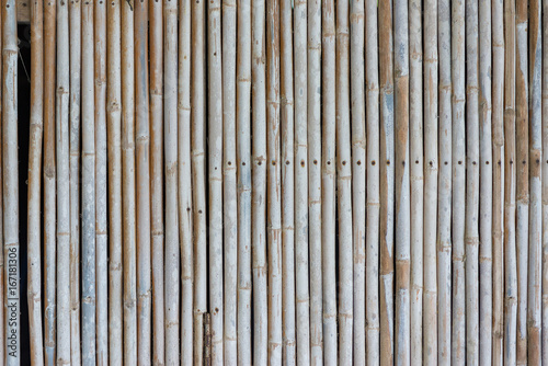 Bamboo fence wall background and texture.