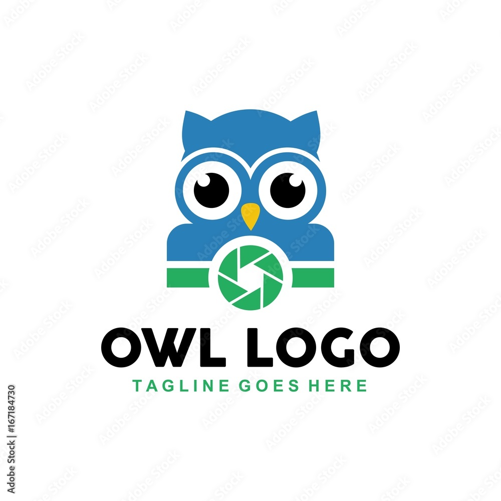 Unique owl logo with minimalist shapes and colors