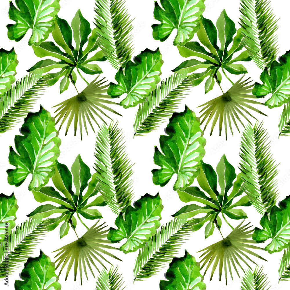 Tropical Hawaii leaves palm tree pattern in a watercolor style. Aquarelle wild flower for background, texture, wrapper pattern, frame or border. Tropical Hawaii leaves palm tree pattern in a watercolor style. Aquarelle wild flower for background, texture, wrapper pattern, frame or border.