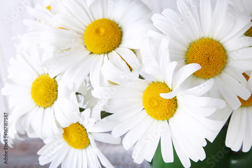Bouquet of chamomile flowers