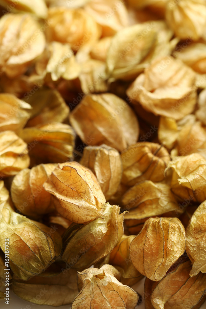 Ripe and sweet physalis background, close up