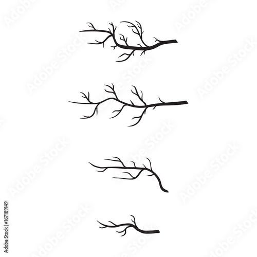 Photo twig silhouette vector