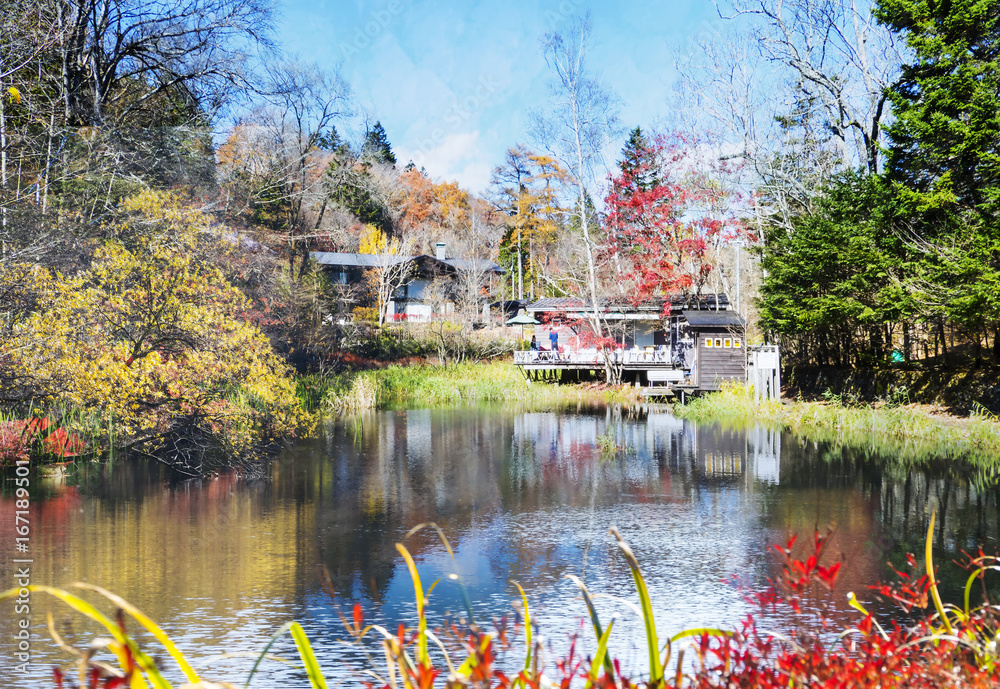 beautiful karuizawa during the fall season, Japan