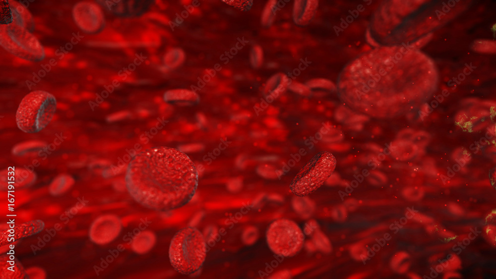 Fototapeta premium red blood cells illustration