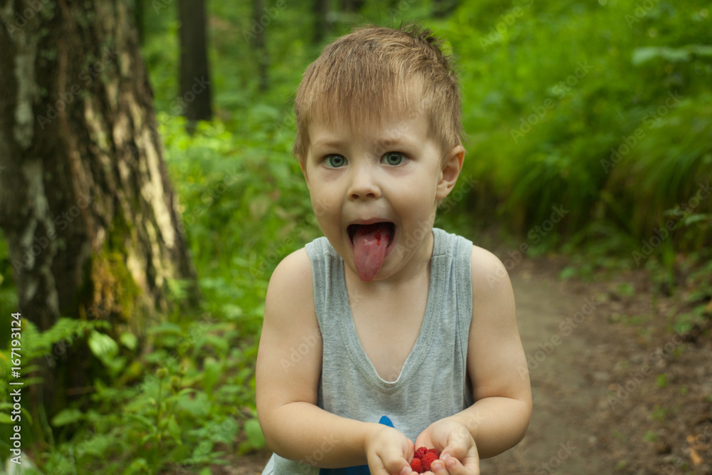Young child blond boy eating raspberries in a summer forest Young child blond boy eating raspberries in a summer forest