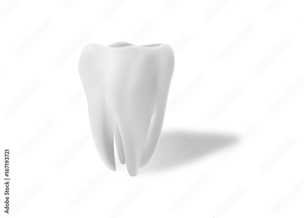 Tooth Illustration Tooth Illustration